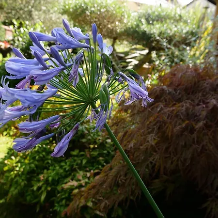 Chez Martine Confort Entierement Independant 아파트 *